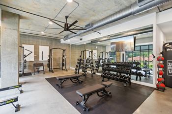 A gym with a variety of equipment including weights and a bench.